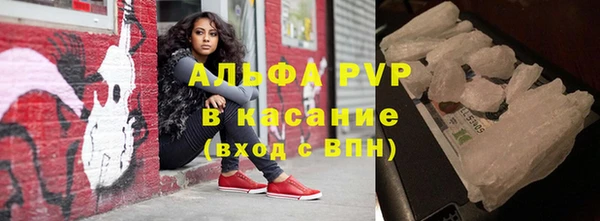 сатива Россошь