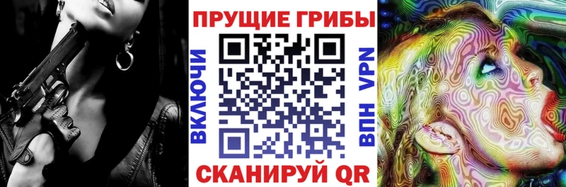 Галлюциногенные грибы Psilocybine cubensis  Семикаракорск 